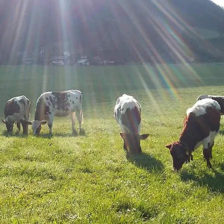 ホームステイ Ferienzimmer Brennerbauer *