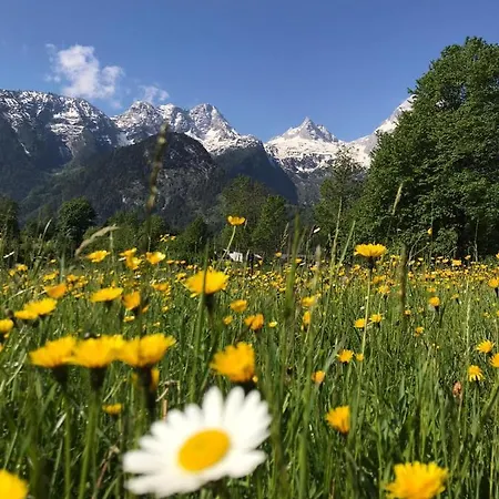 Homestay Ferienzimmer Brennerbauer