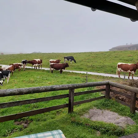 Homestay Ferienzimmer Brennerbauer Lofer