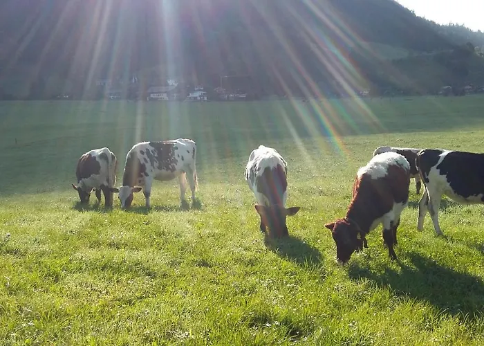 ホームステイ Ferienzimmer Brennerbauer *