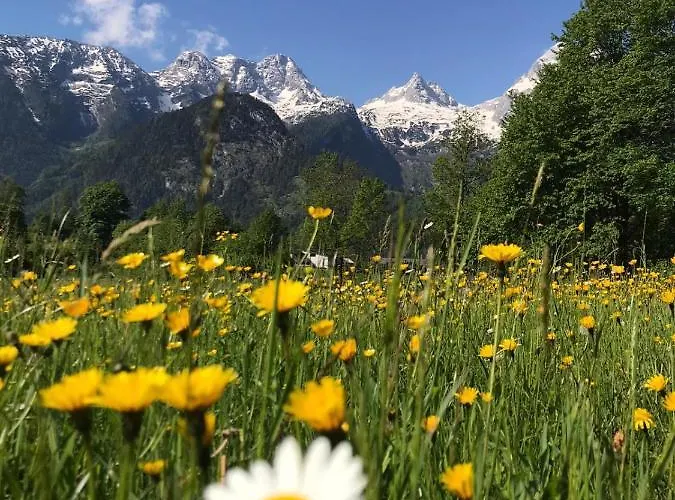 ホームステイ Ferienzimmer Brennerbauer