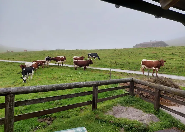 ホームステイ Ferienzimmer Brennerbauer ローファー